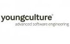 youngculture: Advanced software engineering since 1996